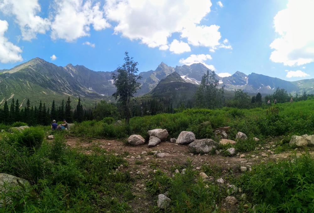 Panoramic mountain view
